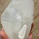 specimen video