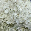 Viitaniemiite from Pakistan, Gilgit-Baltistan, Shigar District, Braldu Valley, Chhappu - image 1