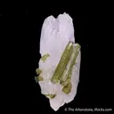 Viitaniemiite with Elbaite Tourmaline - image 1