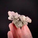 Viitaniemiite with Lepidolite - image 2