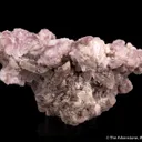 Viitaniemiite with Lepidolite - image 4