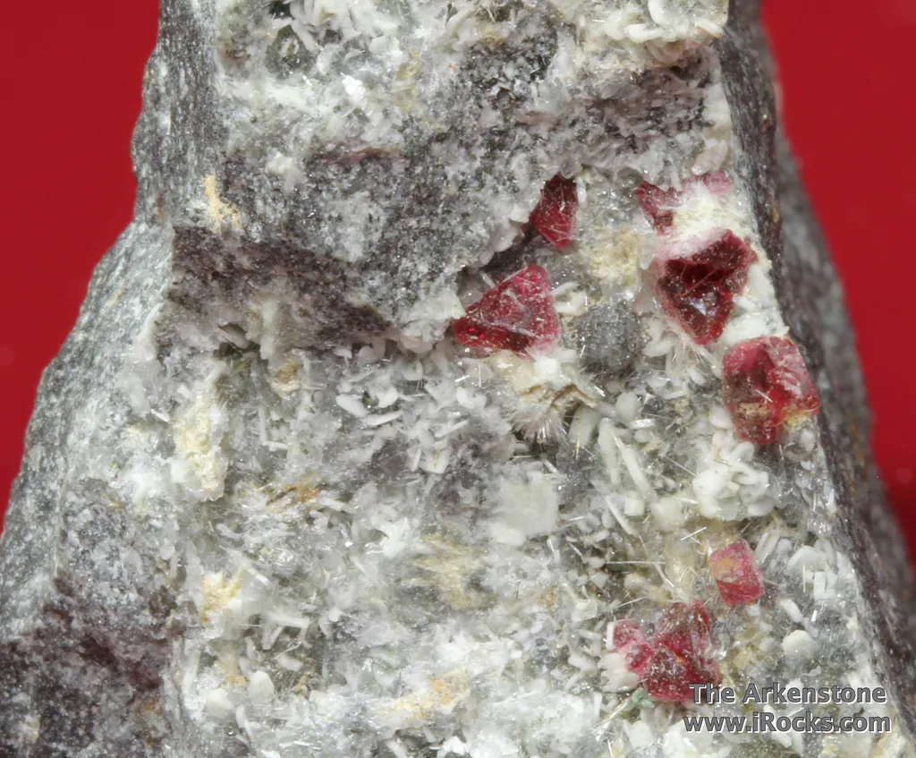 Villiaumite crystals with Tuperssuatsiaite, Makatite, Microcline, Apophyllite-(KF), and Hainite on Phonolite - image 2