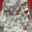 Villiaumite crystals with Tuperssuatsiaite, Makatite, Microcline, Apophyllite-(KF), and Hainite on Phonolite - image 2