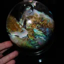 Virgin Valley Nevada Opals in wet display globe - image 2