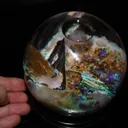 Virgin Valley Nevada Opals in wet display globe - image 3