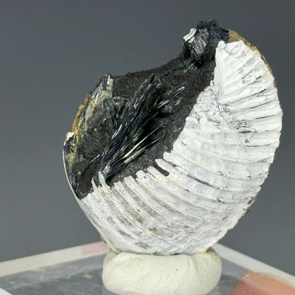 Vivianite - image 2