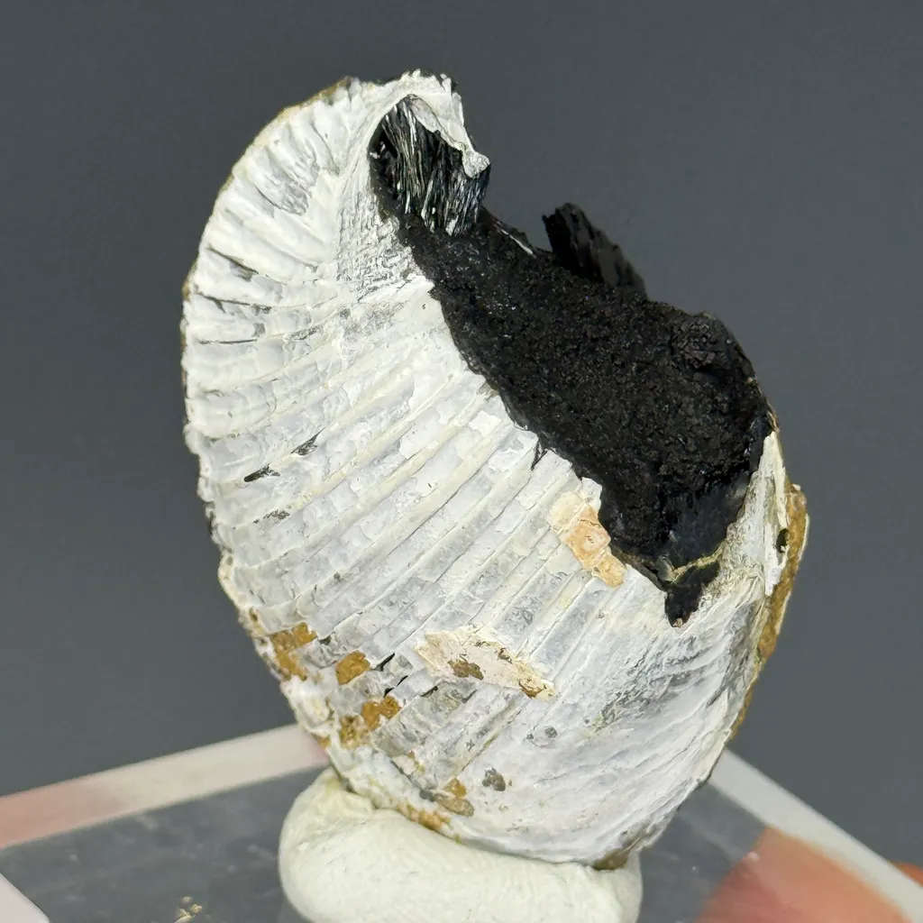 Vivianite - image 3