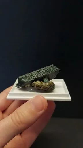 specimen video