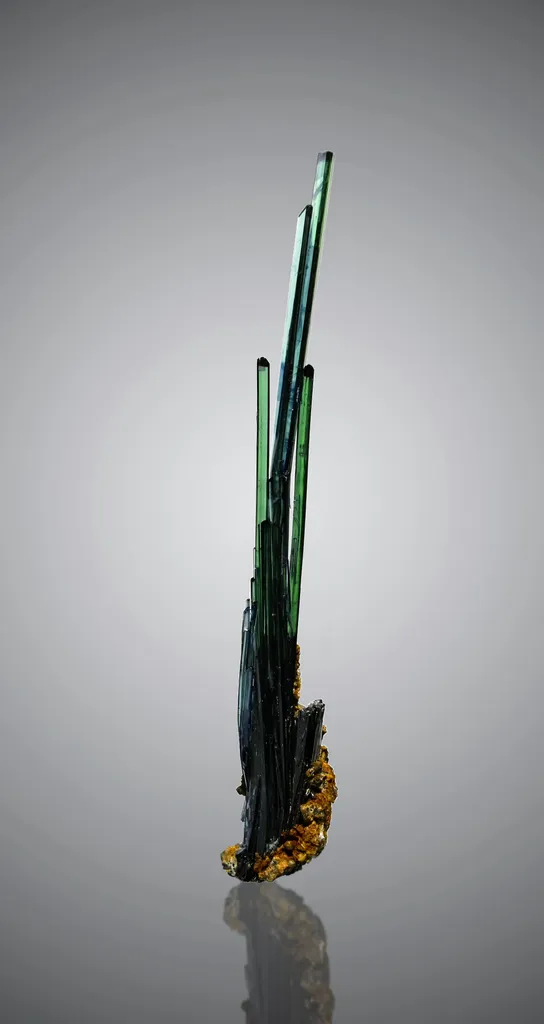 Vivianite from Bolivia, Oruro, Pantaleón Dalence Province, Huanuni, Huanuni mine image