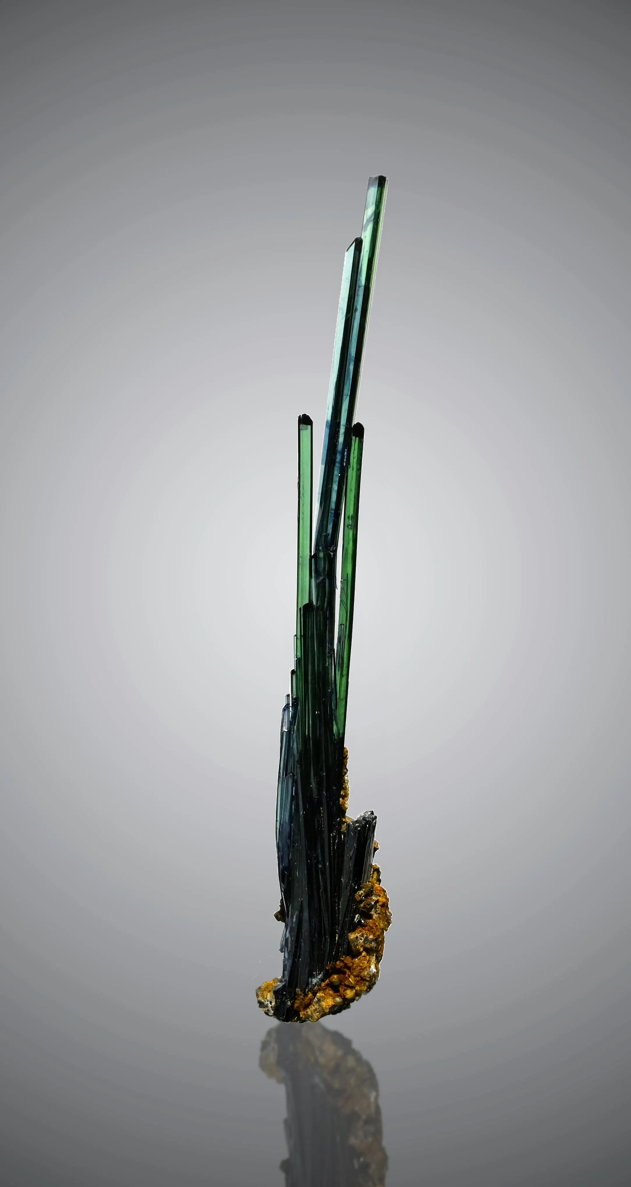 Vivianite from Bolivia, Oruro, Pantaleón Dalence Province, Huanuni, Huanuni mine - image 1