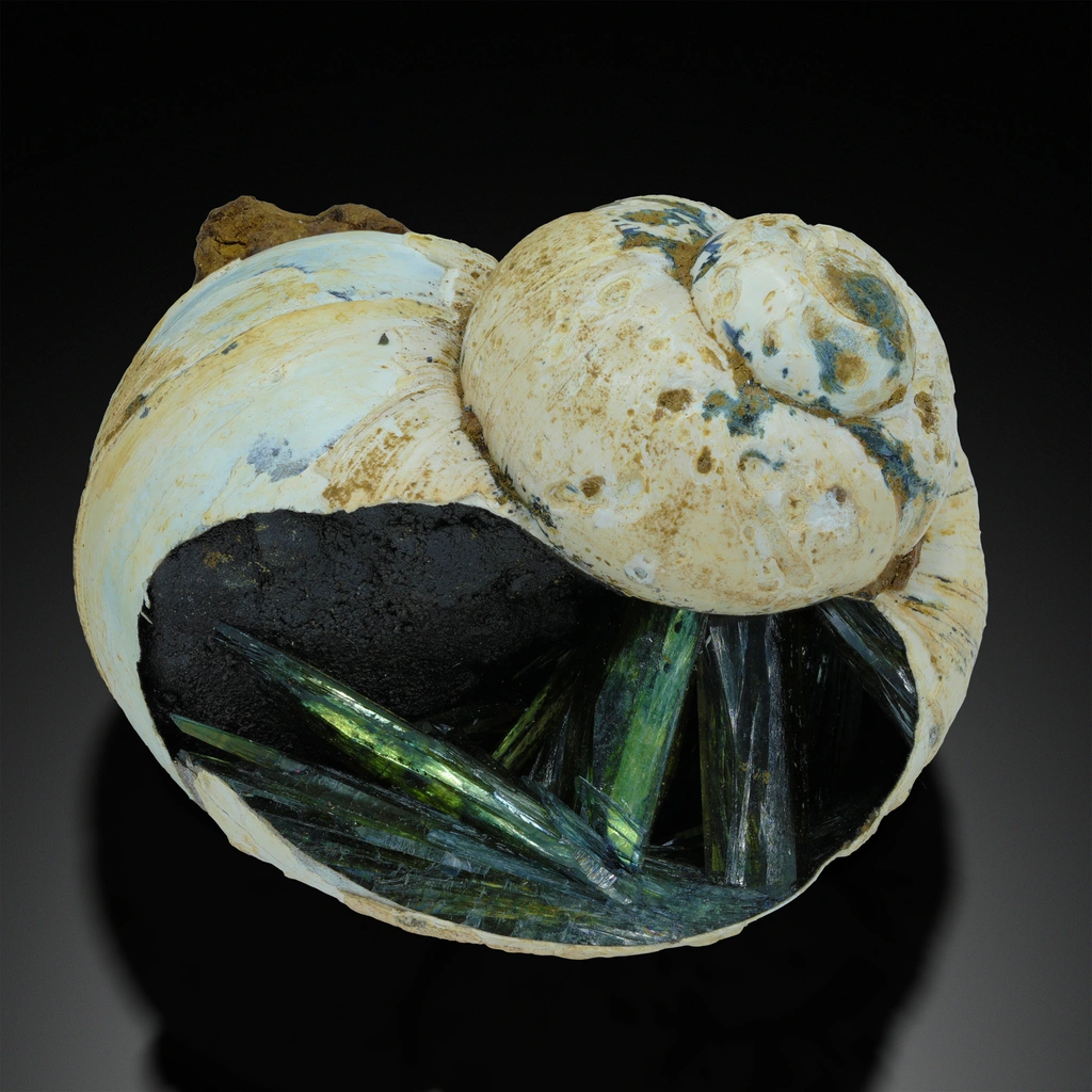 Vivianite from Kerch Peninsula, Crimea, Ukraine image