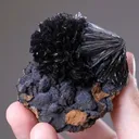 Vivianite from Kerch Peninsula, Crimea, Ukraine - image 1