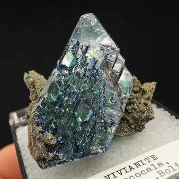 Vivianite from Morococala Mine, Oruro (Department), Bolivia