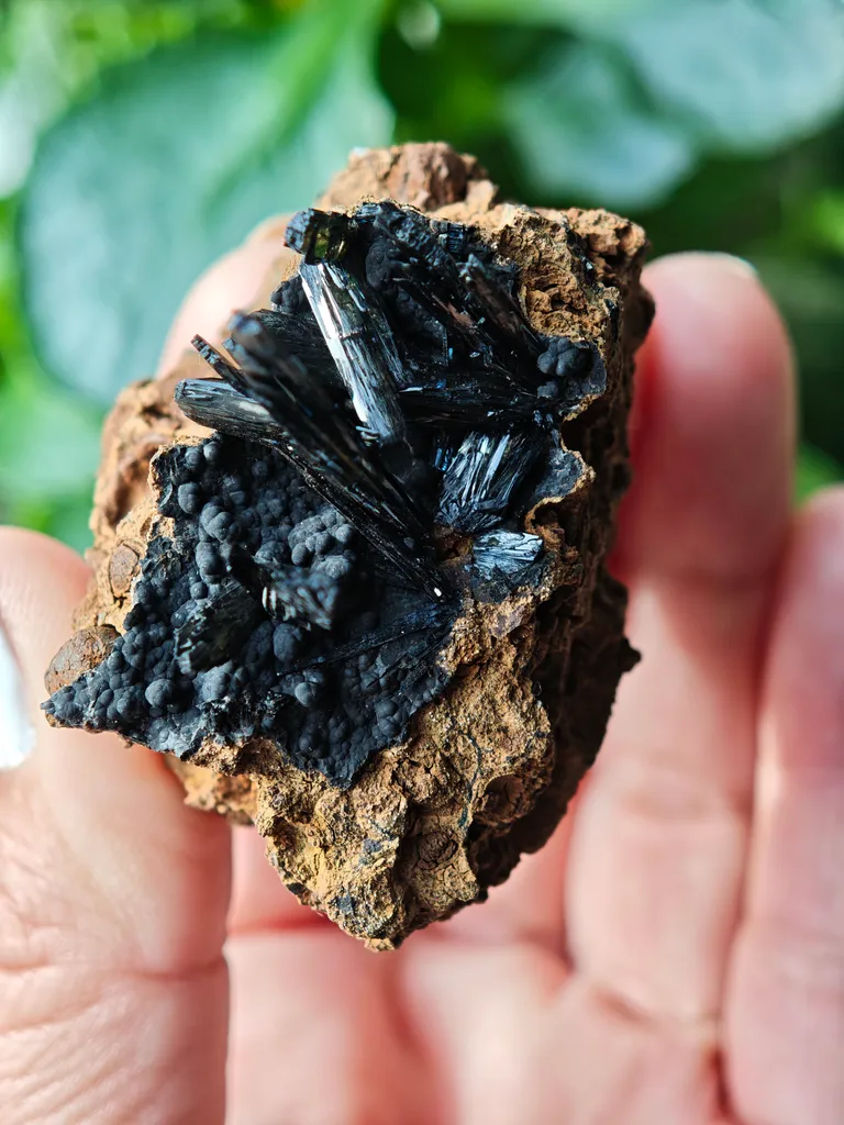 Vivianite from Ukraine, Crimea.  Translucent and shiny vivianite crystals - image 6