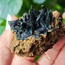 Vivianite from Ukraine, Crimea.  Translucent and shiny vivianite crystals - image 5