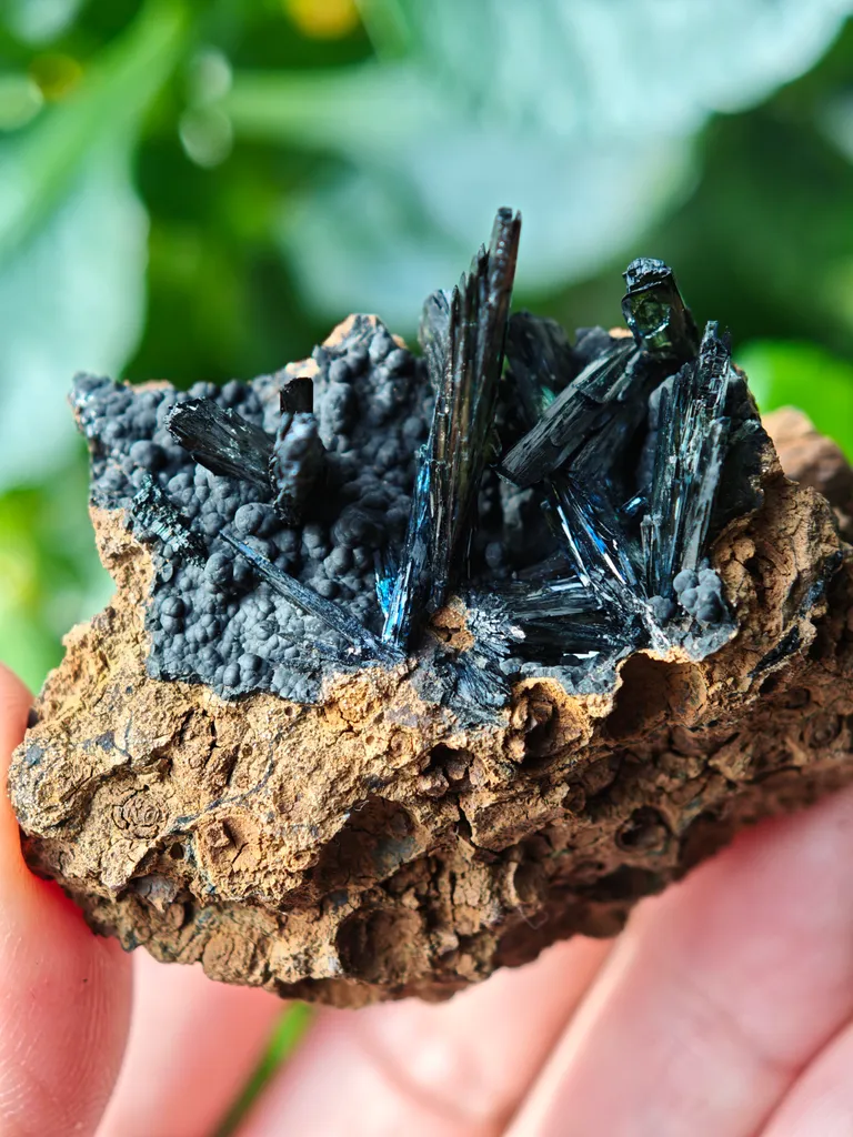 Vivianite from Ukraine, Crimea.  Translucent and shiny vivianite crystals - image 7