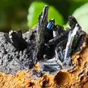 Vivianite from Ukraine, Crimea.  Translucent and shiny vivianite crystals - image 10