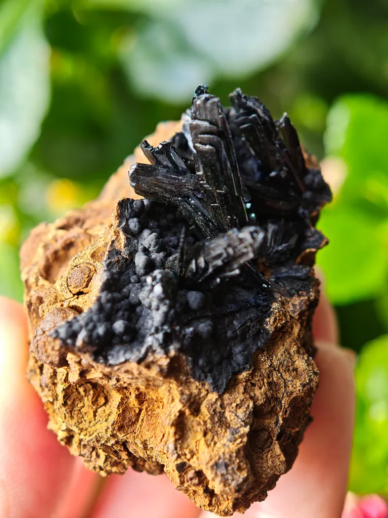 Vivianite from Ukraine, Crimea.  Translucent and shiny vivianite crystals - image 8