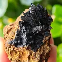 Vivianite from Ukraine, Crimea.  Translucent and shiny vivianite crystals - image 8