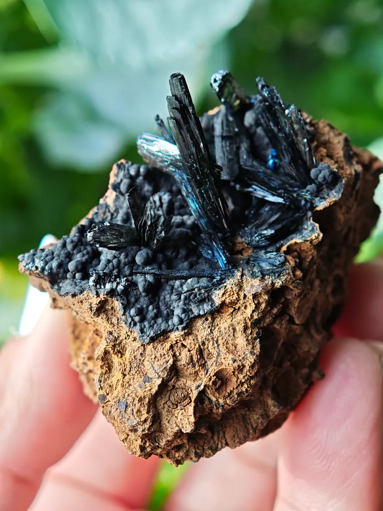 Vivianite from Ukraine, Crimea.  Translucent and shiny vivianite crystals - image 9
