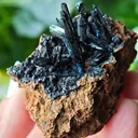 Vivianite from Ukraine, Crimea.  Translucent and shiny vivianite crystals - image 9