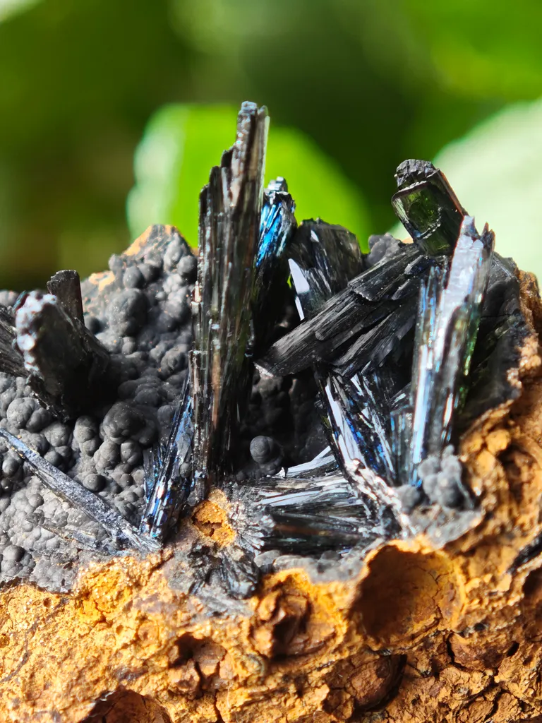 Vivianite from Ukraine, Crimea.  Translucent and shiny vivianite crystals image