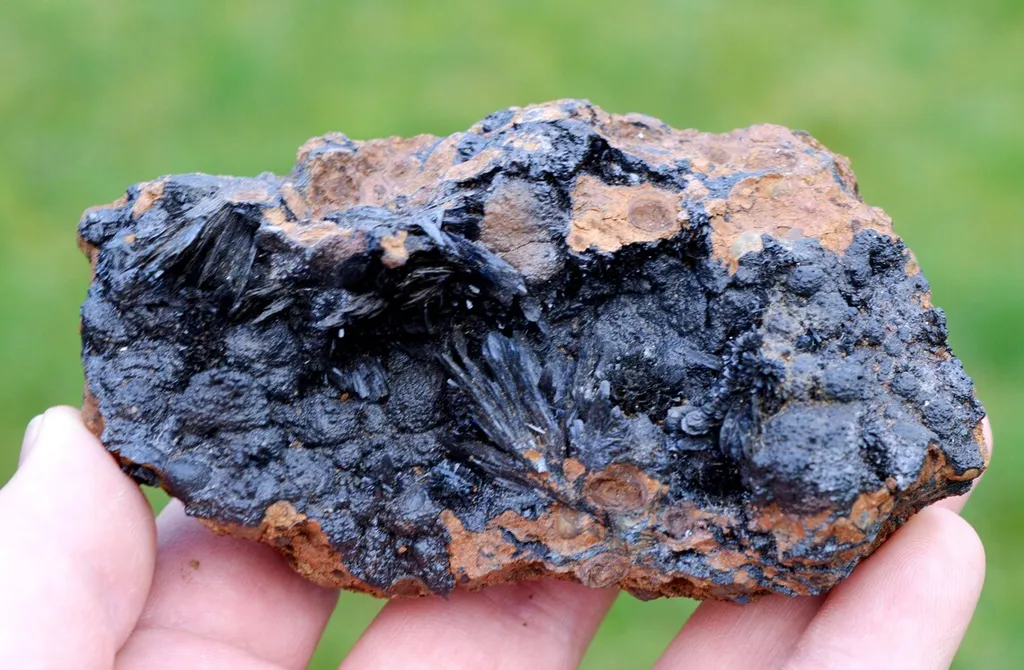 Vivianite & Goethite 172 grams - Chernomorsky mine, Ukraine image