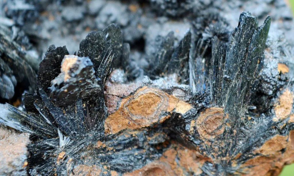Vivianite & Goethite 172 grams - Chernomorsky mine, Ukraine - image 4