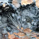 Vivianite & Goethite 172 grams - Chernomorsky mine, Ukraine - image 2