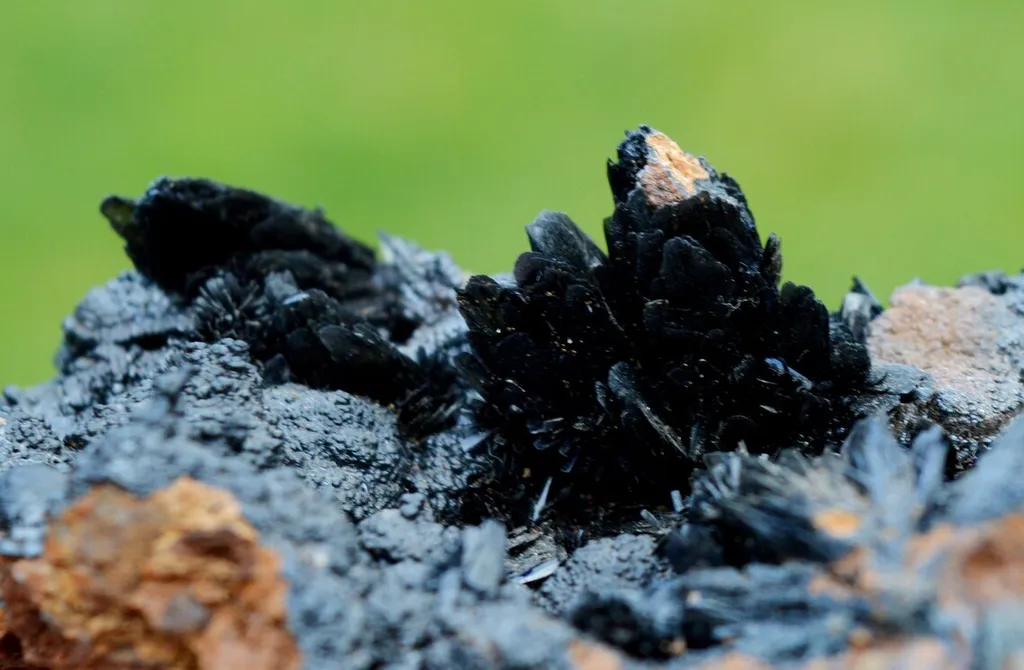 Vivianite & Goethite 172 grams - Chernomorsky mine, Ukraine - image 3