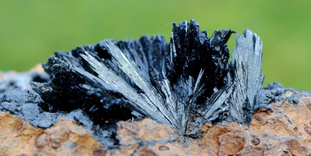 Vivianite & Goethite 261 grams - Chernomorsky mine, Ukraine - image 4