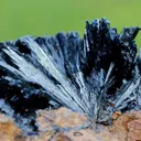 Vivianite & Goethite 261 grams - Chernomorsky mine, Ukraine - image 4