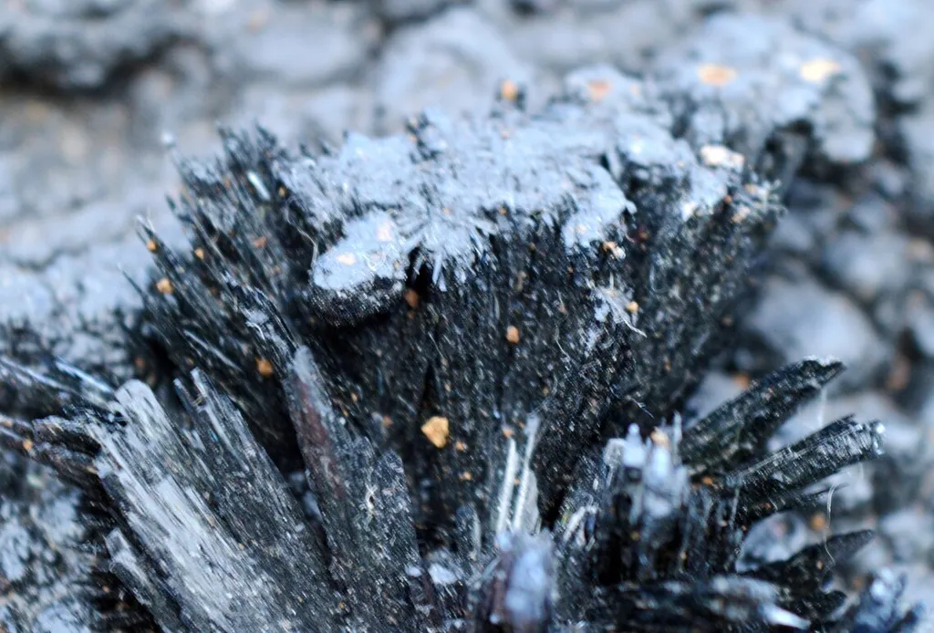 Vivianite & Goethite 261 grams - Chernomorsky mine, Ukraine - image 3
