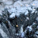 Vivianite & Goethite 261 grams - Chernomorsky mine, Ukraine - image 3