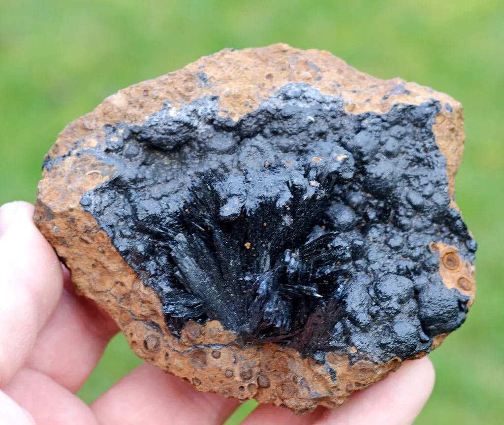 Vivianite & Goethite 261 grams - Chernomorsky mine, Ukraine image