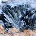 Vivianite & Goethite 261 grams - Chernomorsky mine, Ukraine - image 2