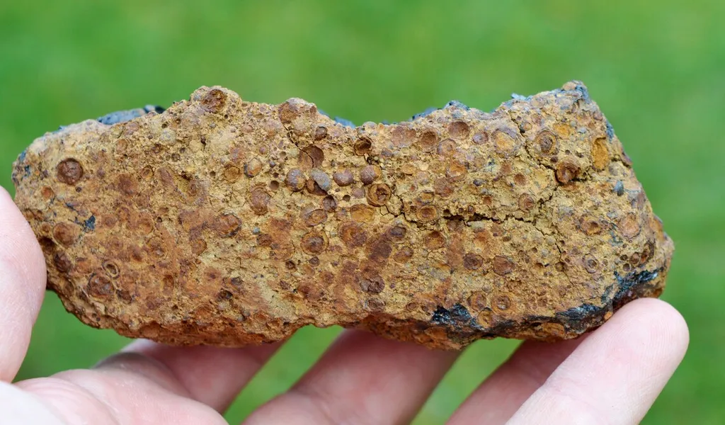 Vivianite & Goethite 354 grams - Chernomorsky mine, Ukraine - image 6