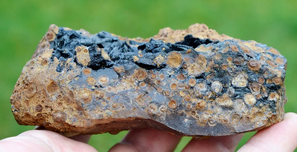 Vivianite & Goethite 354 grams - Chernomorsky mine, Ukraine - image 5