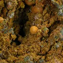 Vivianite, Wavellite - image 3