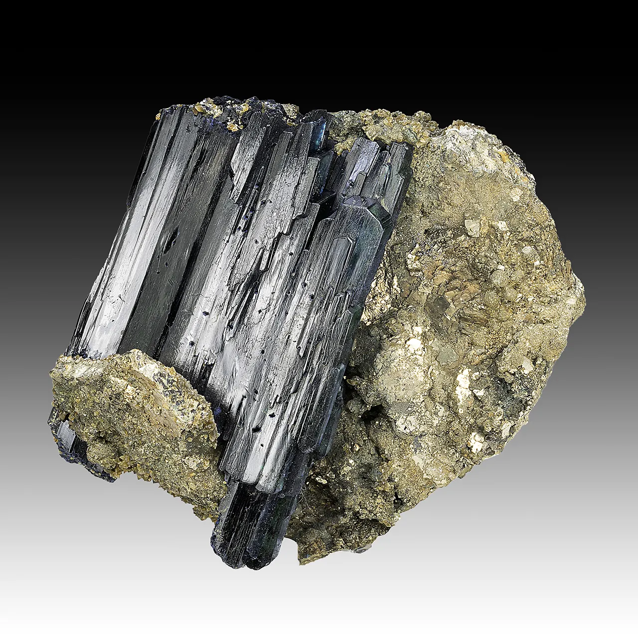 Vivianite with Pyrite, Siderite - image 1
