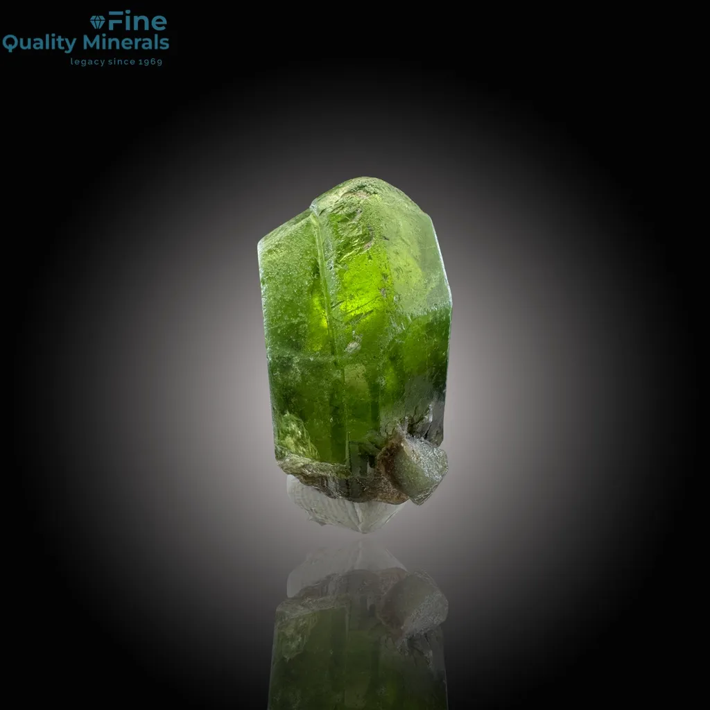 Vivid Spinel Twin Peridot with Ludwigite Inclusions image