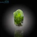 Vivid Spinel Twin Peridot with Ludwigite Inclusions - image 1
