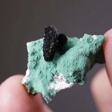 Volborthite