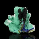Volborthite and Azurite on Malachite - image 4