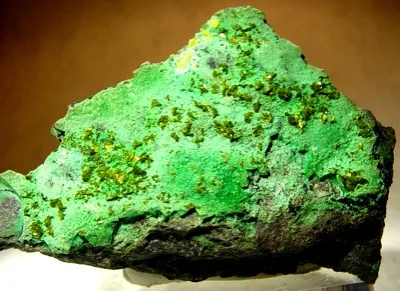 Volborthite, Chrysocolla image