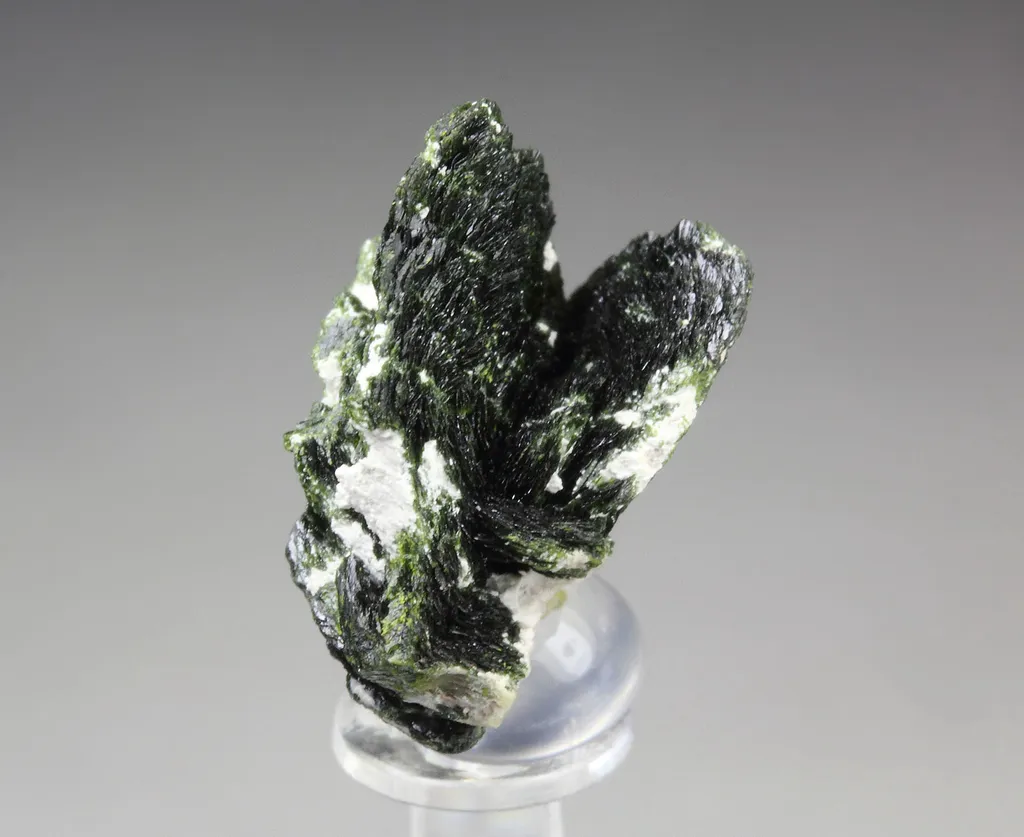 Volborthite from Mexico, Sonora, Milpillas, Milpillas Mine - image 4