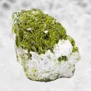 Volborthite from Milpillas Mine, Milpillas, Sonora, Mexico - image 1