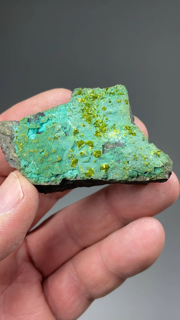 Volborthite from San Jose Mine, Cerro Chorolque, Potosí, Bolivia - image 2