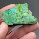 Volborthite from San Jose Mine, Cerro Chorolque, Potosí, Bolivia - image 2