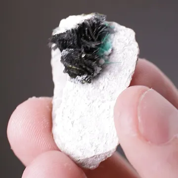 Volborthite with Brochantite